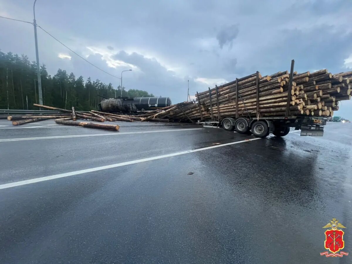    Фото: пресс-служба ГУ МВД России по Петербургу и Ленобласти