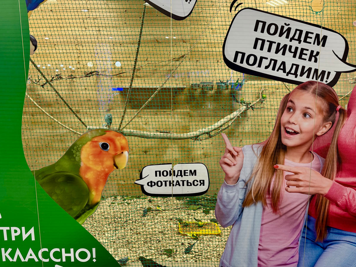 Дом попугаев, Краснодар