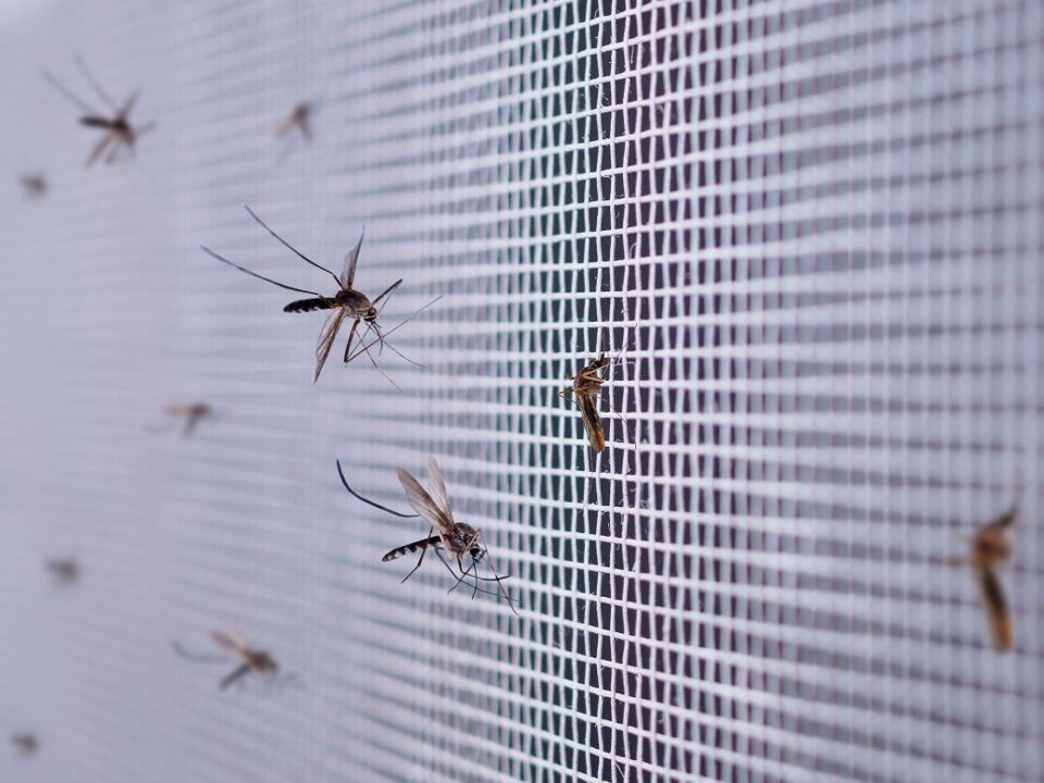    Фото: istockphoto.com