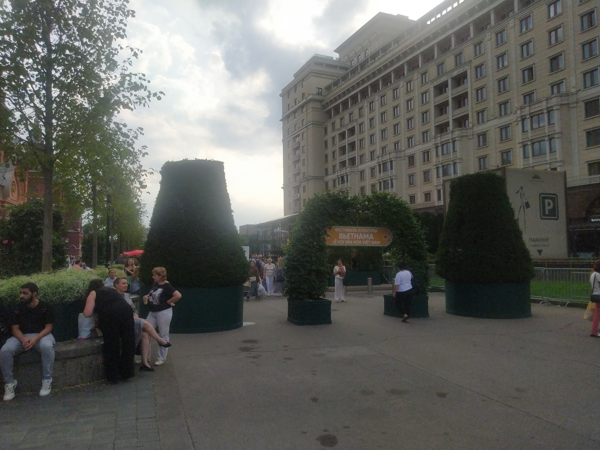 Вход на фестиваль культуры Вьетнама 2025