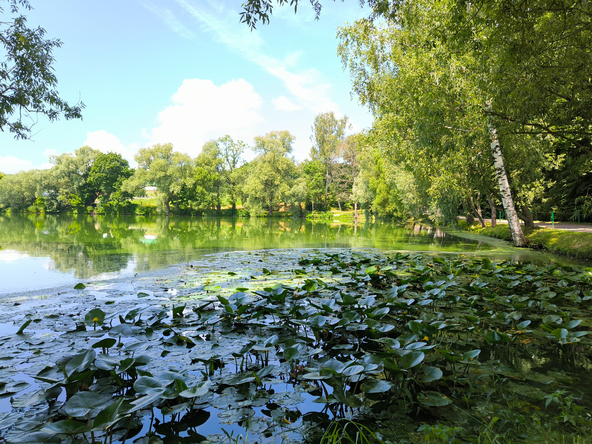 Вдоль берега