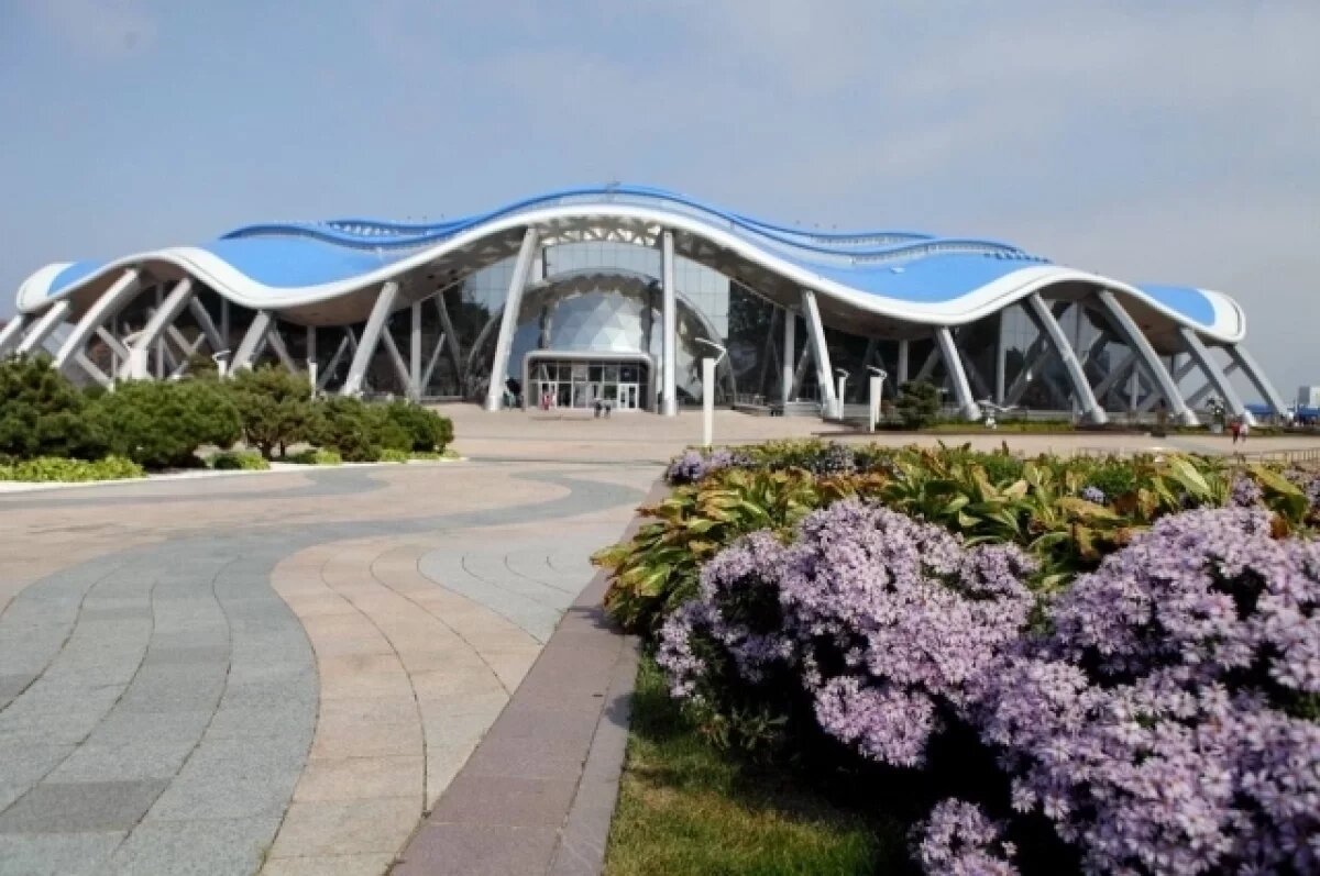    Приморский океанариум подал иск на 524 млн руб. из-за «живых камней»