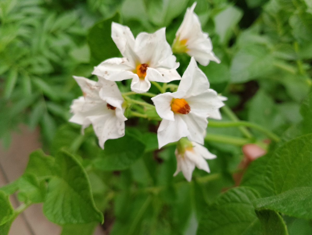 Фото автора.