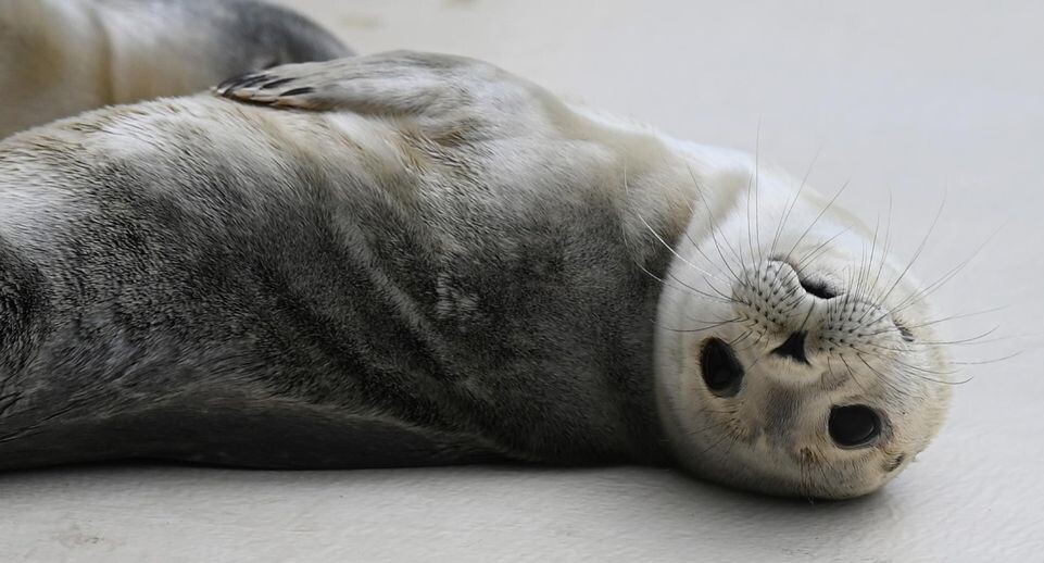    David Hammersen/dpa / www.globallookpress.com