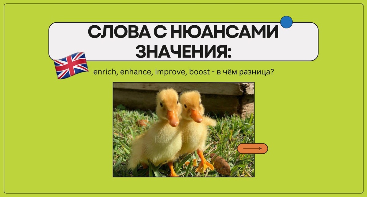 Изображение: Family English