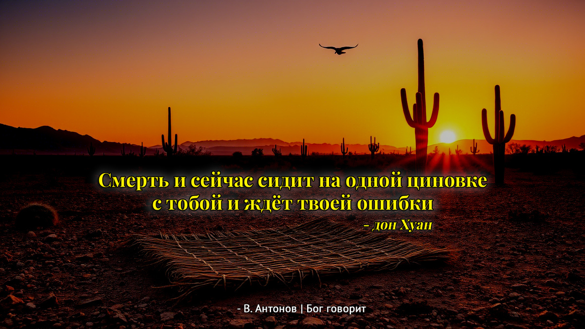 Компьютерная графика Сергея В.