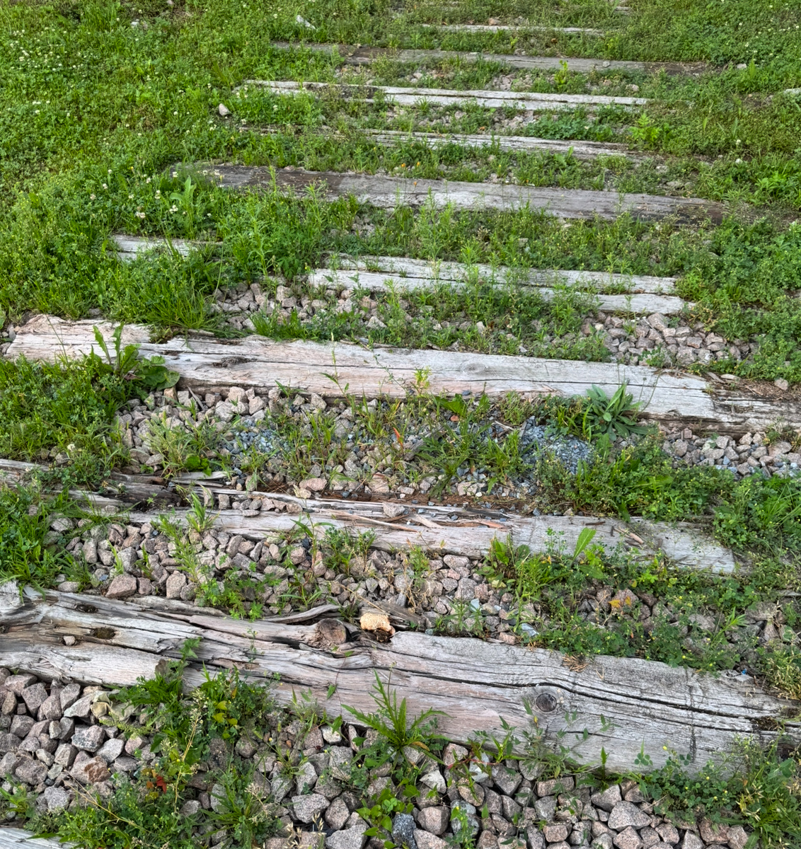 Фото для иллюстрации.