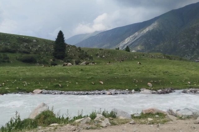    Вокруг повсюду живописные ландшафты. Фото: Из личного архива/ Нафиса Наширбанова