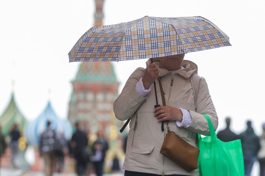    Наталья Шатохина/NEWS.ru