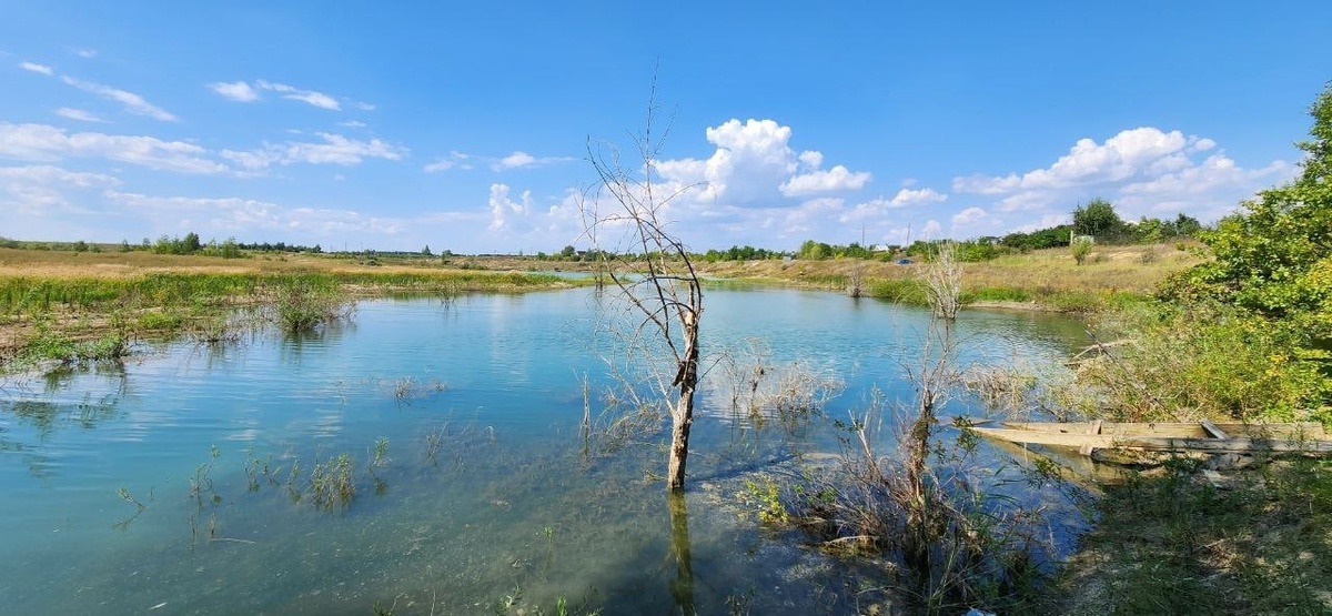    Фото из архива Progorod