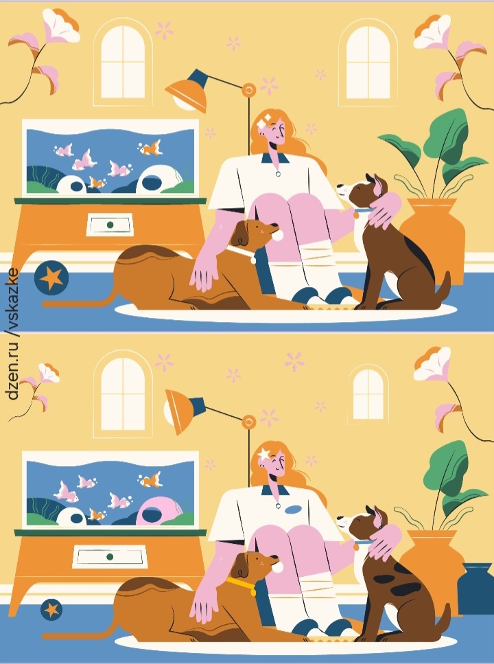 Найди отличия на картинке 