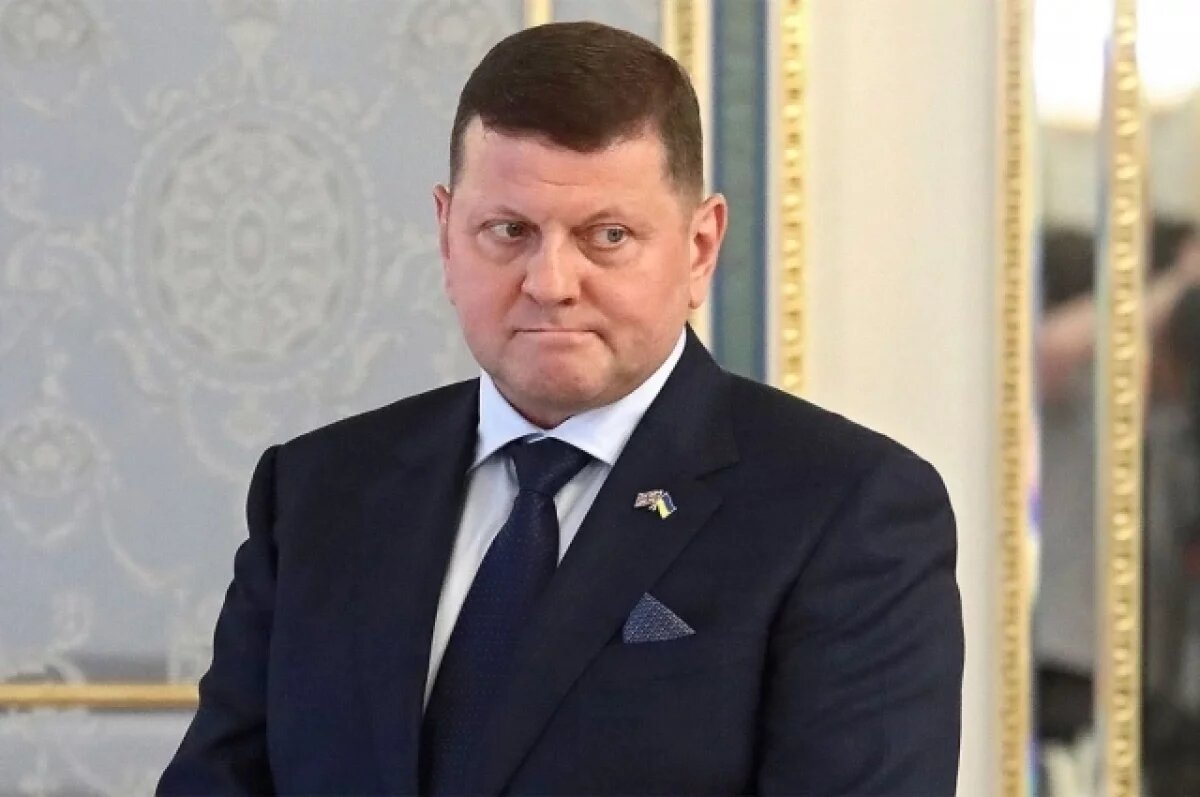    Килинкаров оценил шансы Залужного заменить Зеленского