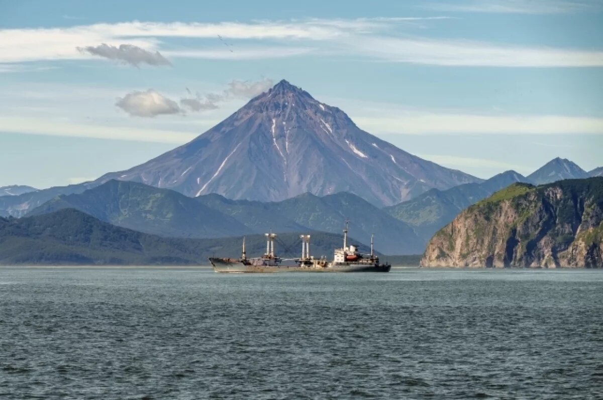    На пяти вулканах Камчатки возможны пепловые выбросы