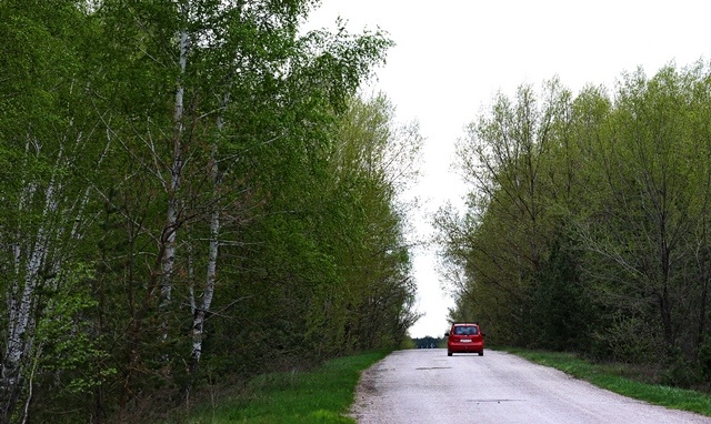 Дорога Пинеровка-Алмазово