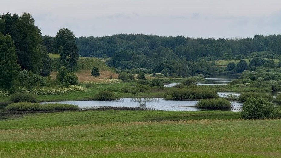    Автор фото: Антон Тарануха / "ДП"