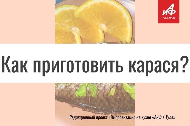    Фото: Коллаж АиФ в Туле/ Антонина Афанасьева, Юлия Богомолова