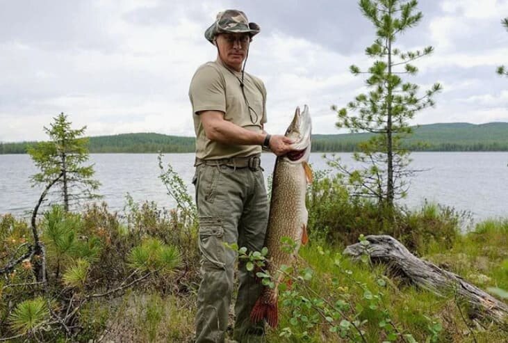 Щука Путина 21 кг