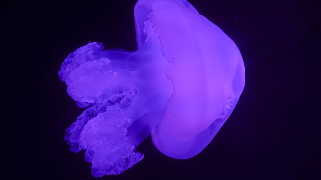    Belkin Alexey/news.ru/Globallookpress