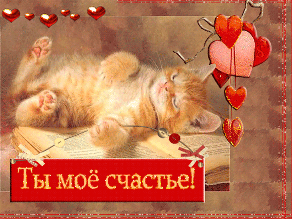 Bp jnrhsns[ bcnjxybrjd