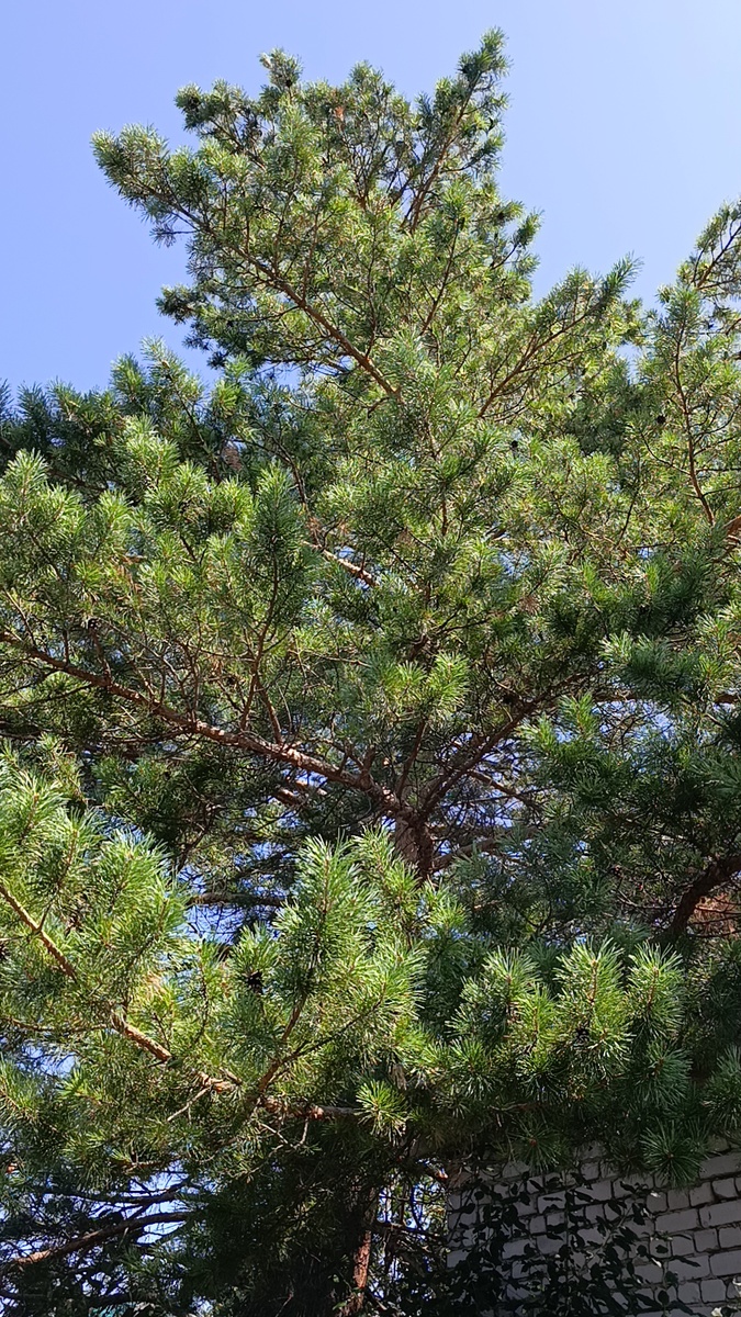 Мое любимое и проблематичное 