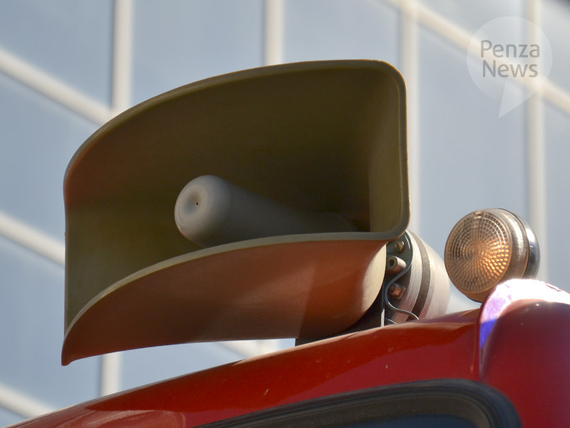    © Фото из архива ИА «PenzaNews»