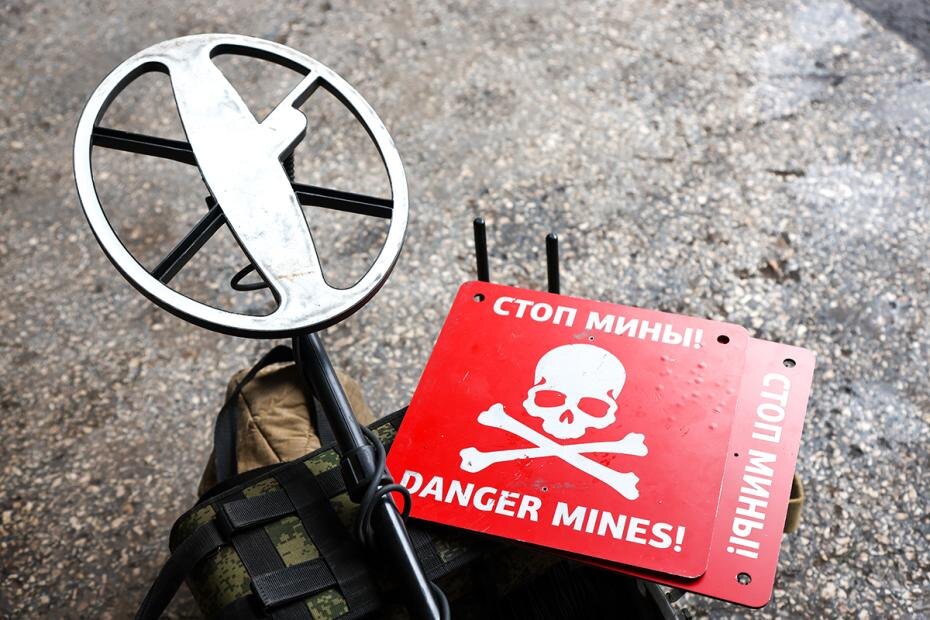    Наталья Шатохина/NEWS.ru