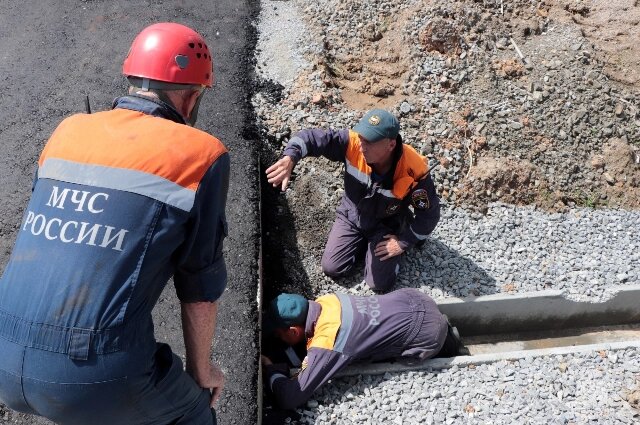    Спасатели спасли Балу Фото: Телеграм-канал МЧС Хабаровского края