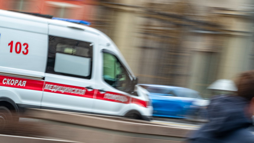    Фото: ИЗВЕСТИЯ/Константин Кокошкин