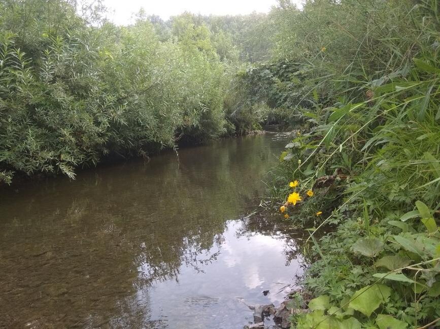    купаться после Ильина дня на Руси запрещалось. Фото из архива редакции