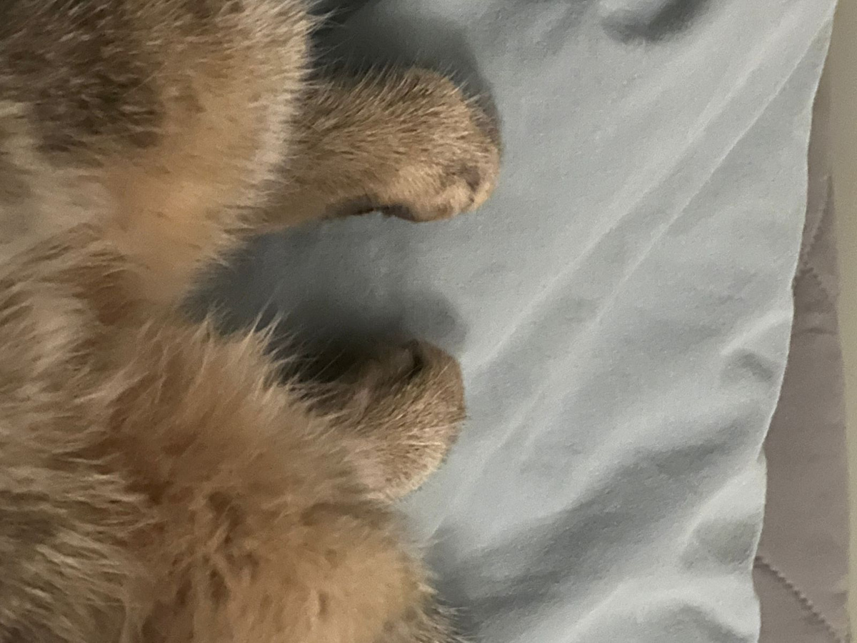 -2