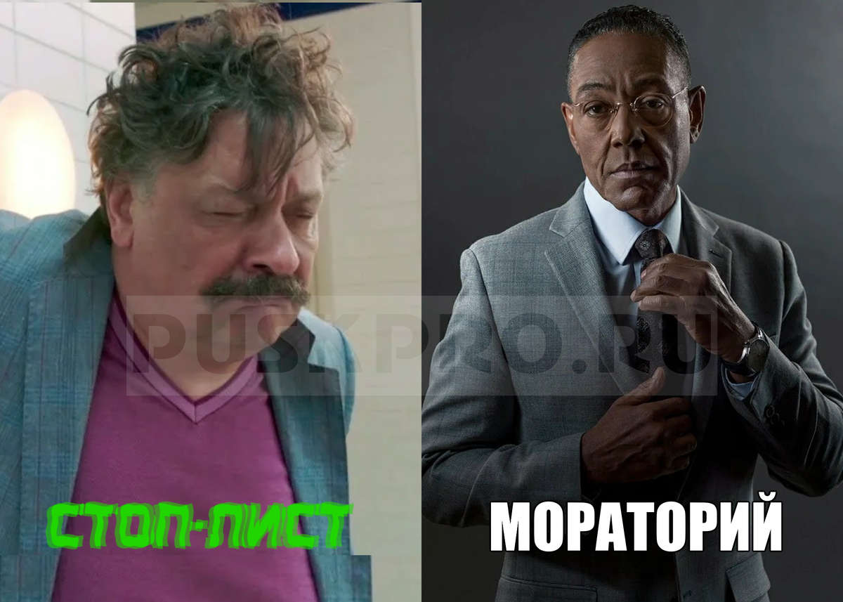 стоп-лист после аннулирования пропуска в москву