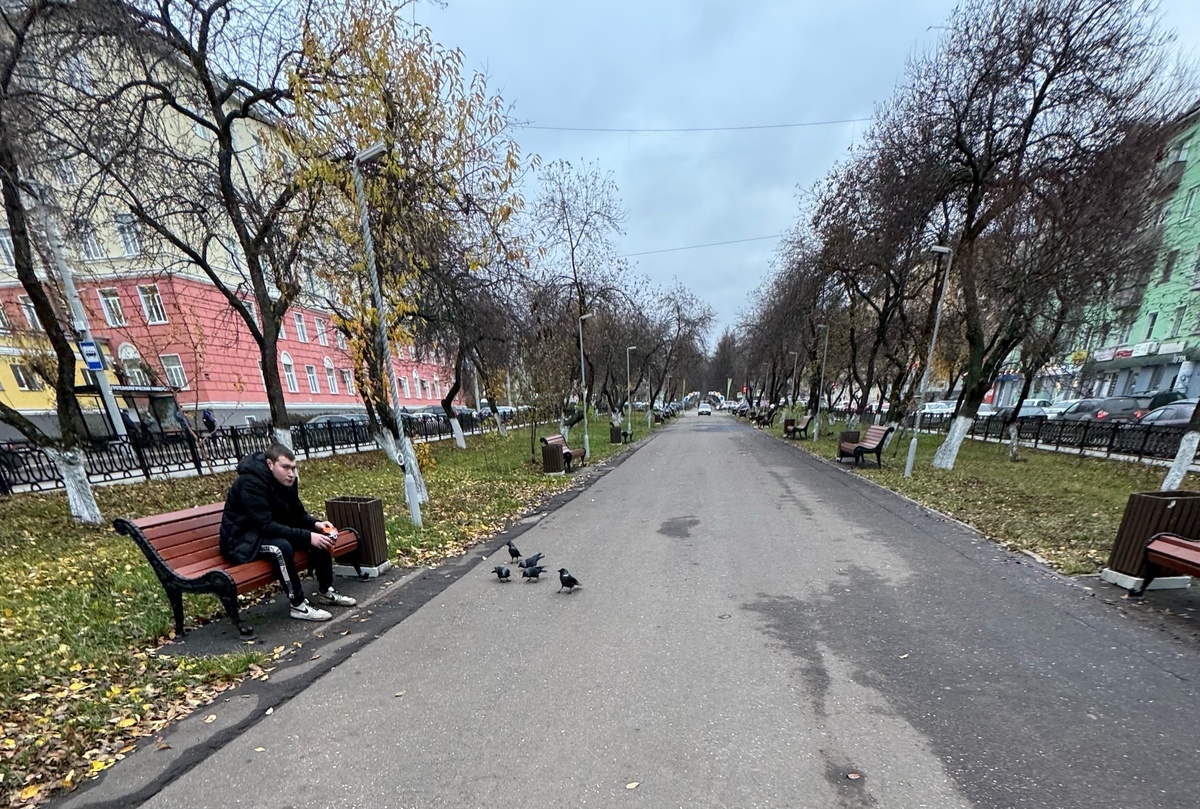    "Температура опустится на 6 градусов": Вильфанд прогнозирует похолодание в августе