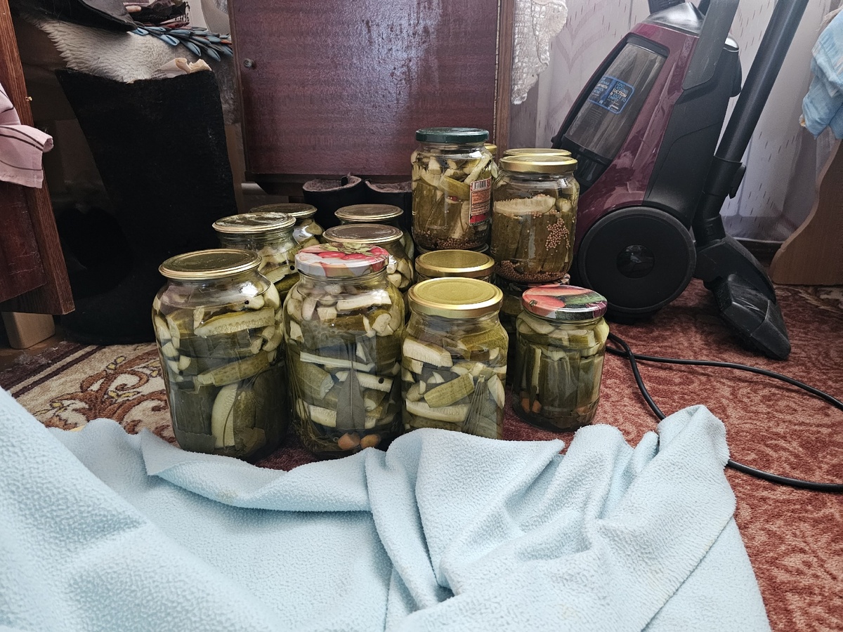    Готовлю огурцы на зиму без уксуса, без сахара и без подвала - даже свекровь нахваливает за хруст