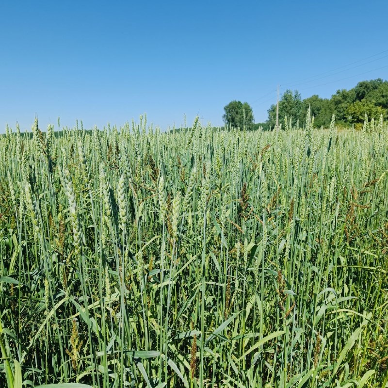    Фото редакции