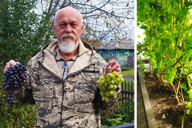    Фото «Тогучинская газета»