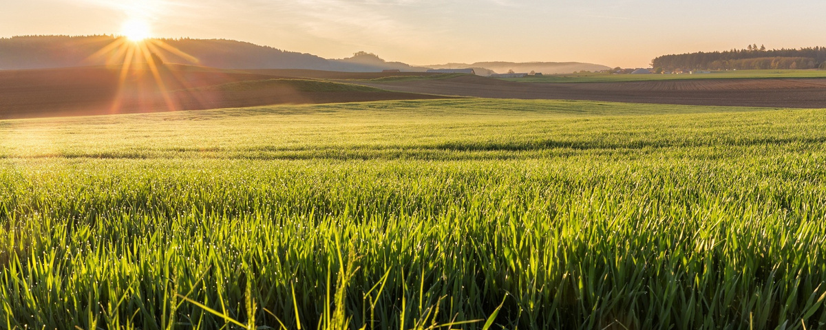 Яндекс.Картинки