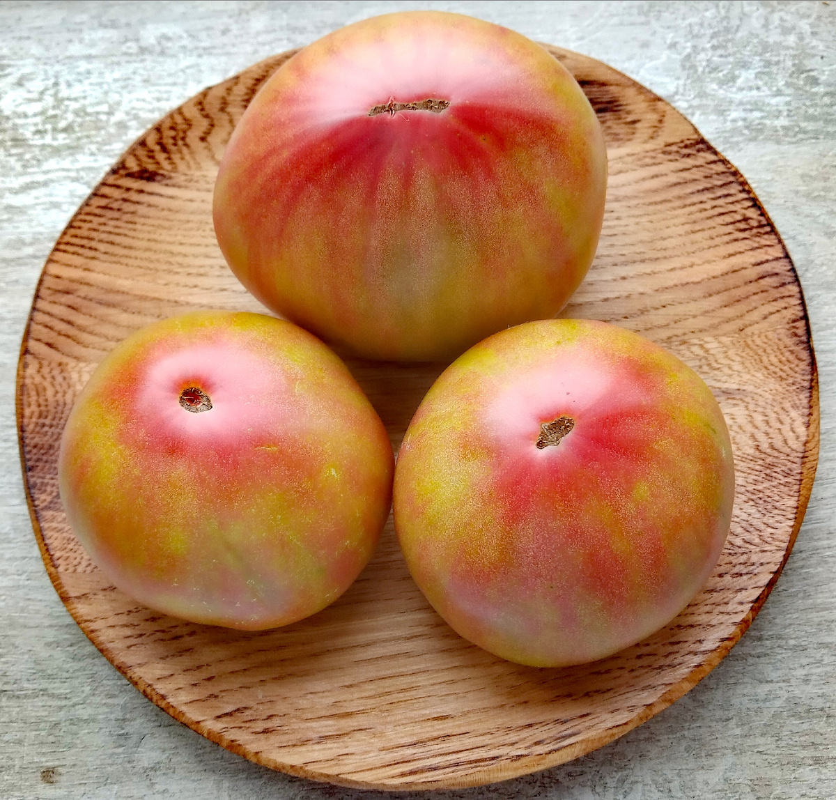 Фото автора от 01.08.2025г. Групповой портрет плодов томата Тайга /Тундра/.