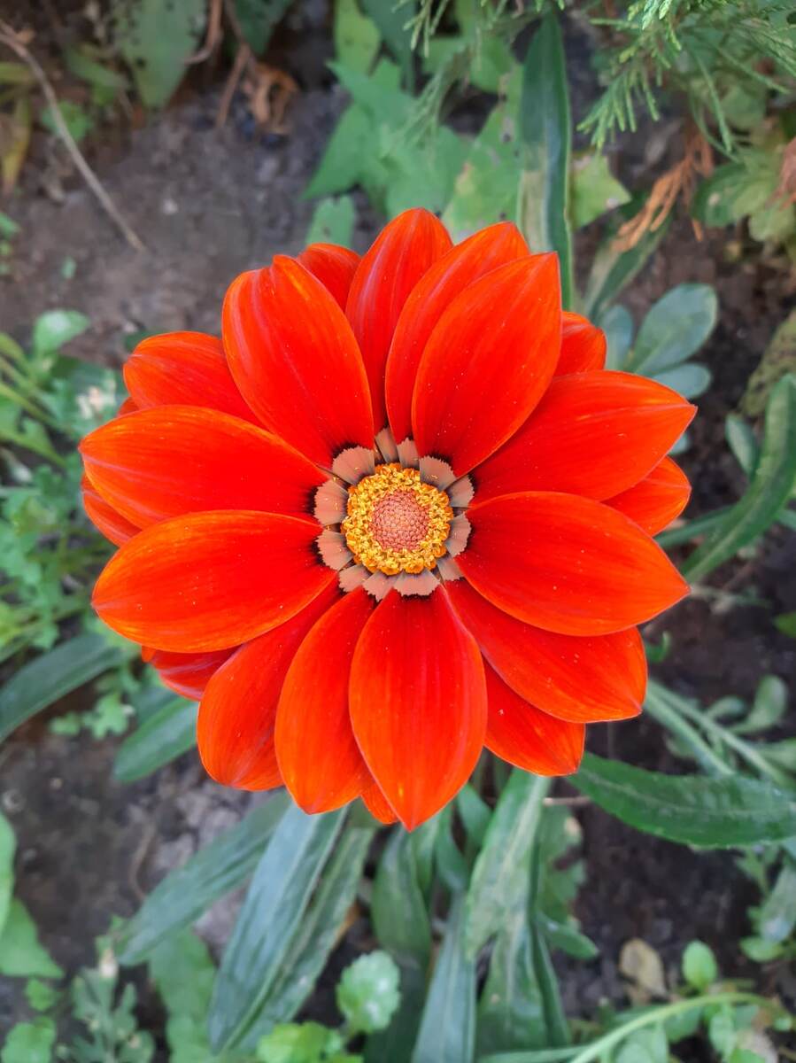 Фото автора канала