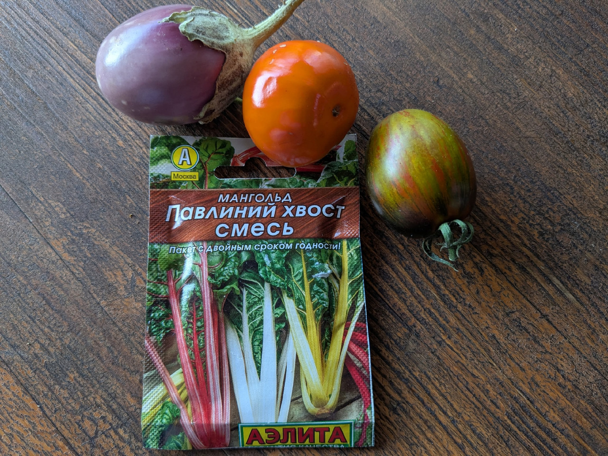 Семена мангольда