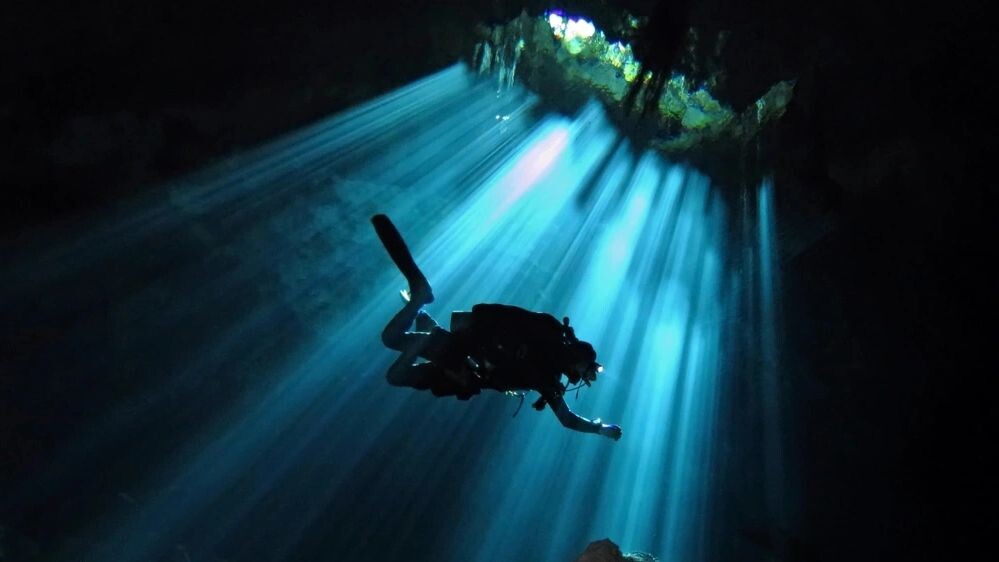    Фото: blue-sea.cz/Shutterstock/Fotodom