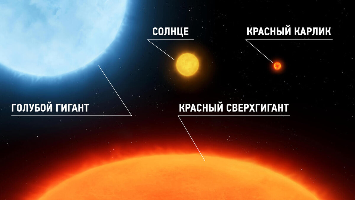     Фото: Nazarii_Neshcherenskyi/Shutterstock/FOTODOM Звезды, как и живые существа, проходят полный жизненный цикл