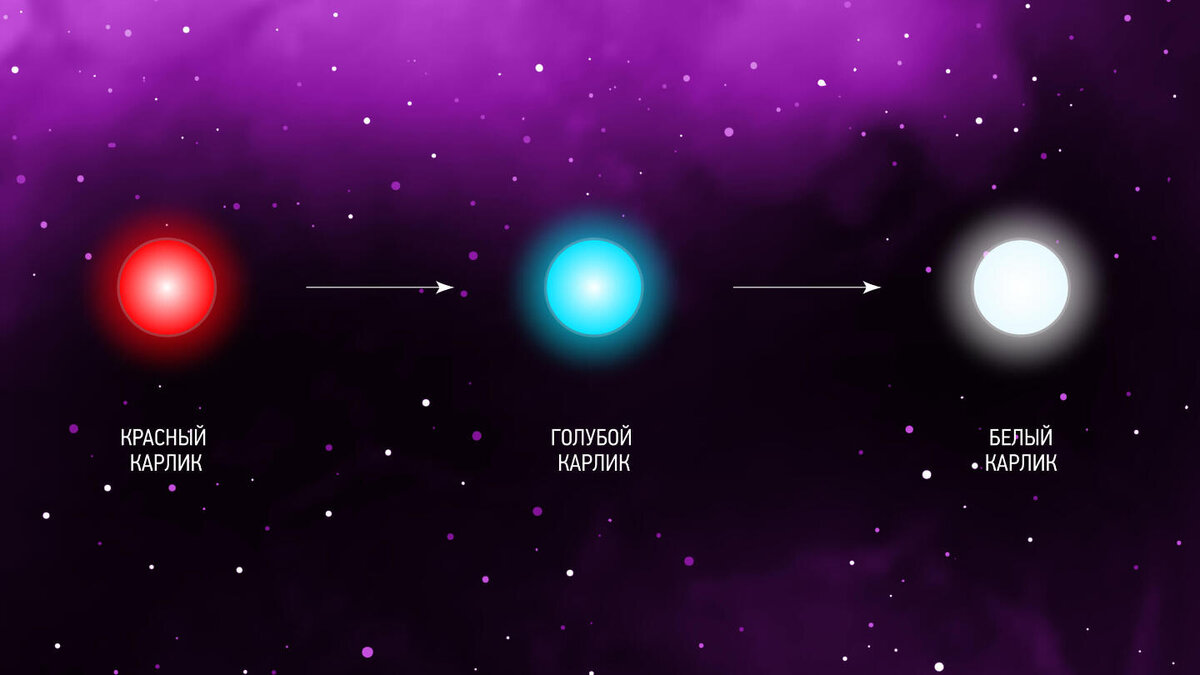     Фото: Veronika By/VectorMine/Shutterstock/FOTODOM Масса красных карликов составляет менее 40% от солнечной, а запасов водорода хватает на триллионы лет