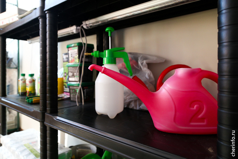    С 1 сентября в центре "Наши дети" откроются агрогруппы, посещать занятия смогут дети с первого класса.