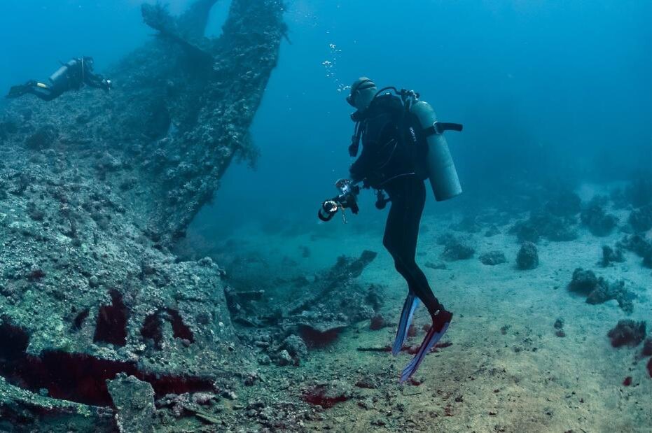    Shutterstock/FOTODOM