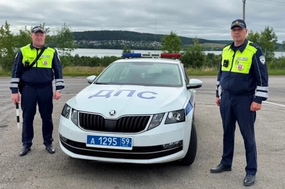    Инспекторы ДПС помогли пермяку привести машину в движение после ДТП с лосём