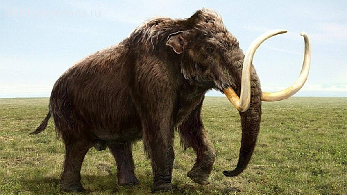 Фото с сайта: https://telegra.ph/E-Morozov-Gibel-Giperborei-i-ishod-giperborejcev-05-25