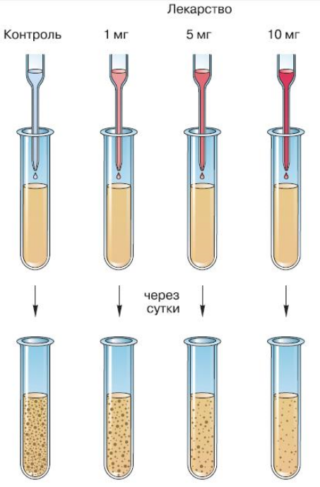 Рис. Изучение влияния лекарственного препарата на скорость размножения определённого вида микроорганизмов