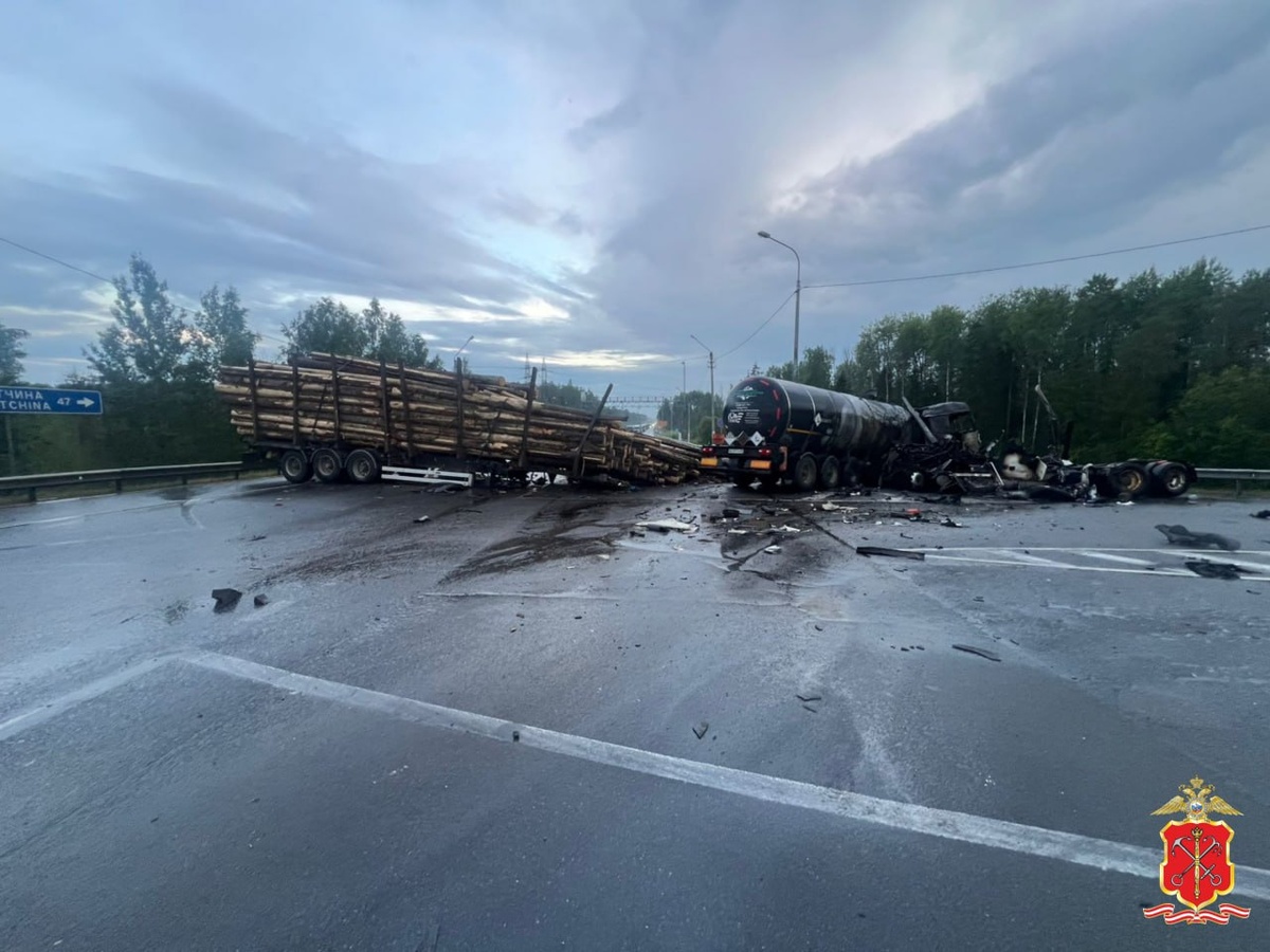 © ГУ МВД по Петербургу и Ленобласти