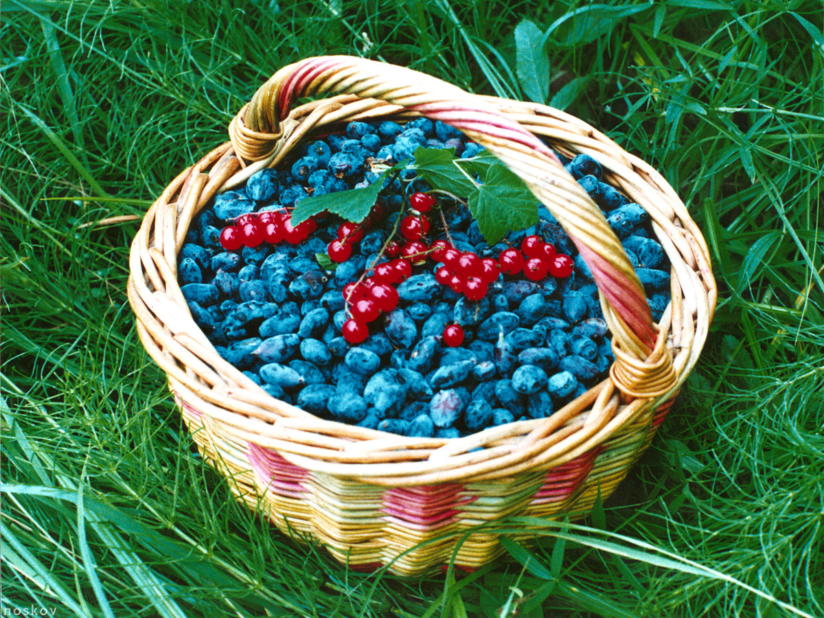 Фото из интернета, для настроения.