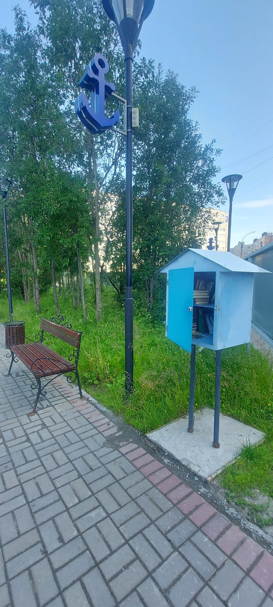 Скворечник с книгами.